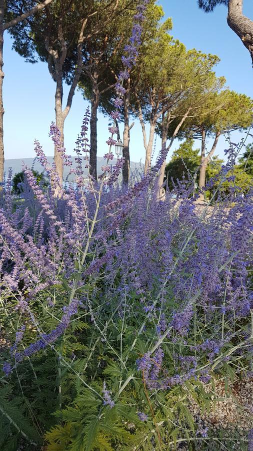 La Colombaia Nel Castello Διαμέρισμα Bracciano  Εξωτερικό φωτογραφία